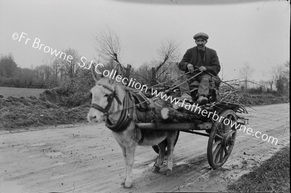 ON THE ROAD TO ADARE